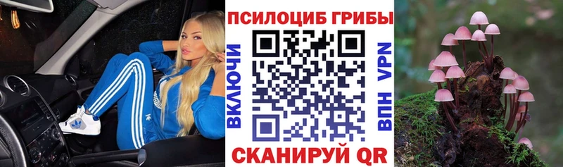 Псилоцибиновые грибы Magic Shrooms  Краснодар 